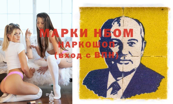 гашик Вяземский