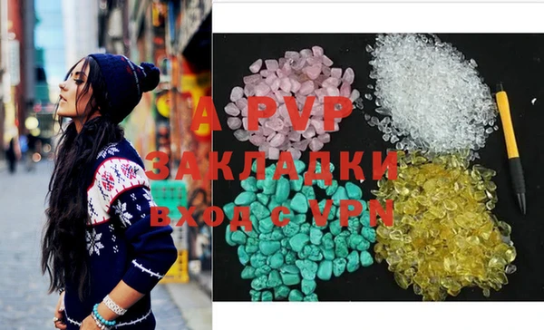 гашик Вяземский