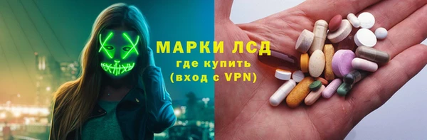 гашик Вяземский