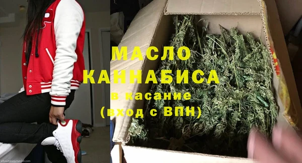 гашик Вяземский