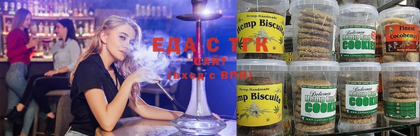 гашик Вяземский