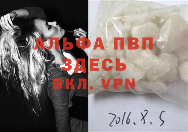 гашик Вяземский