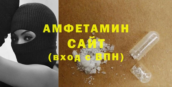 гашик Вяземский