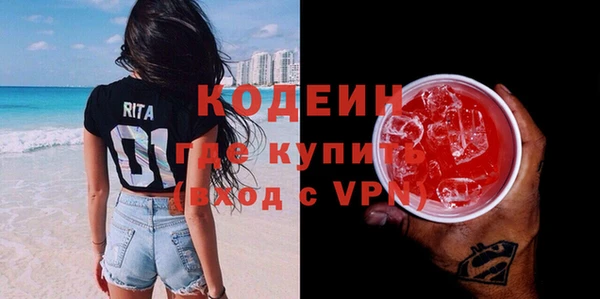гашик Вяземский