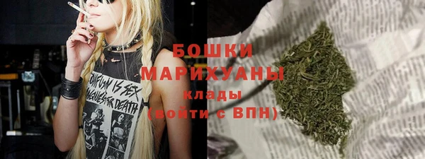 гашик Вяземский