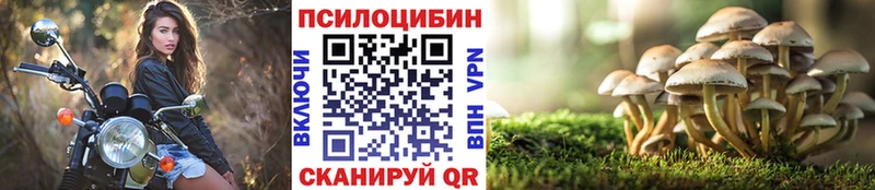 продажа наркотиков Шилка Галлюциногенные грибы GOLDEN TEACHER